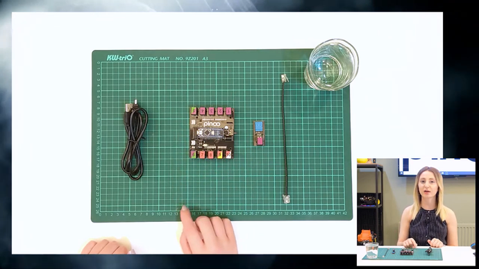 Pinoo Temperature-Humidity Sensor